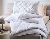 Bettdecke im XXXLutz Prospekt Kopfkissen von sleeptex im aktuellen XXXLutz Prospekt für 11,99 €