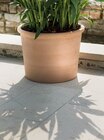 Hagebaumarkt Seesen - Pflanztopf 'Cilindro Bordato' Angebot im Prospekt Pflanztopf 'Cilindro Bordato' bei Hagebaumarkt im Seesen Prospekt für 7,99 €