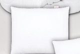 Kopfkissen Angebote bei Penny Bautzen für 19,99 €