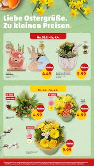 Blumen im Penny Prospekt "Wer günstig will, muss Penny." mit 43 Seiten (Hamburg)