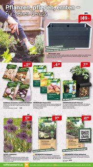 Blumentopf im Raiffeisenmarkt Prospekt "Der Frühling ruft! Mach dich bereit." mit 4 Seiten (Bielefeld)