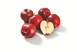 Rote Äpfel „Nikolaus“ im aktuellen Lidl Prospekt