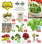 Aktueller Marktkauf Prospekt mit Garten, "Aktuelle Angebote", Seite 11