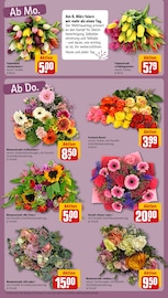 Tulpen im REWE Prospekt in Lingen Aktueller REWE Prospekt mit Tulpen, "Dein Markt", Seite 7