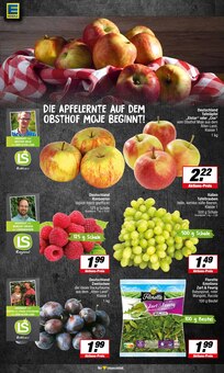 Gemüse im EDEKA Prospekt "Aktuelle Angebote" mit 17 Seiten (Hamm)