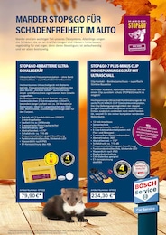 Batterien Angebot im aktuellen Bosch Car Service Prospekt auf Seite 21