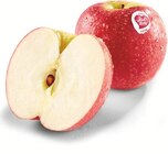 Aktuelle Äpfel Angebote bei Netto Marken-Discount in Herne Aktuelles Äpfel Angebot bei Netto Marken-Discount in Herne ab 1,99 €