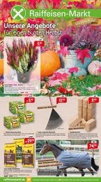 Raiffeisenmarkt Prospekt für Lohne: "Unsere Angebote für einen bunten Herbst", 8 Seiten, 03.10.2025 - 10.10.2025