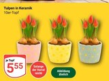 Aktuelle Tulpen Angebote bei GLOBUS in Mannheim Aktuelles Tulpen in Keramik Angebot bei GLOBUS in Mannheim ab 5,55 €