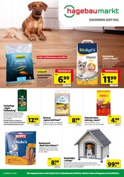 Hundefutter im Hagebaumarkt Prospekt in Altenburg Aktueller Hagebaumarkt Prospekt mit Hundefutter, "BRING DEIN ZUHAUSE ZUM STRAHLEN", Seite 11