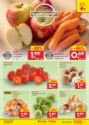 Pilze im Netto Marken-Discount Prospekt in Erfurt Aktueller Netto Marken-Discount Prospekt mit Pilze, "Aktuelle Angebote", Seite 5
