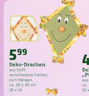 Deko-Drachen Angebote bei Pflanzen Kölle Falkensee für 5,99 €