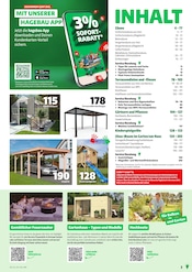 Carport im Hagebaumarkt Prospekt in Bocholt Aktueller Hagebaumarkt Prospekt mit Carport, "Gartengestaltung", Seite 3