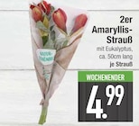 2er Amaryllis-Strauß Angebote bei EDEKA Ingolstadt für 4,99 €