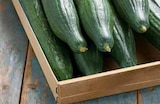 Intermarché Ollières - Promo Concombre Promo Concombre à 1,68 € dans le catalogue Intermarché à Ollières