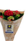 Bauernhortensie, 14 cm Topf Angebote von EDEKA bei EDEKA Cuxhaven für 6,99 €