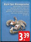 Aktuelle Garnelen Angebote bei EDEKA in Mönchengladbach Aktuelles Black-Tiger-Riesengarnelen Angebot bei EDEKA in Mönchengladbach ab 3,39 €