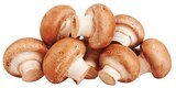 Braune Bio Champignons Angebote von REWE Bio bei REWE Bergisch Gladbach für 1,79 €