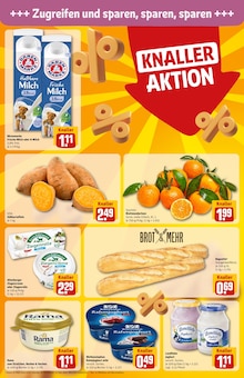 Brötchen im aktuellen REWE Prospekt (Jena) Brötchen im REWE Prospekt "Dein Markt" mit 36 Seiten (Jena)