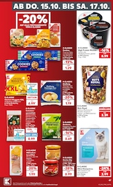 Katzenstreu im Kaufland Prospekt in Essen Aktueller Kaufland Prospekt mit Katzenstreu, "Hier bin ich richtig", Seite 51