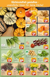 Aktueller REWE Prospekt mit Chrysantheme, "Dein Markt", Seite 7
