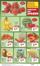 Bananen im combi Prospekt in Oldenburg Aktueller combi Prospekt mit Bananen, "Markt - Angebote", Seite 3
