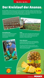 Ananas im Penny Prospekt in Nürnberg Aktueller Penny Prospekt mit Ananas, "Wer günstig will, muss Penny.", Seite 9