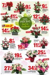 Fleurs Fleurs