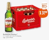 Budweiser budvar Angebote bei tegut Mannheim für 13,99 €