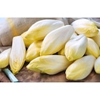 Endive en promo chez Carrefour Endive dans le catalogue Carrefour