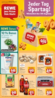 REWE Prospekt Dein Markt mit  Seiten in Hamburg und Umgebung