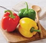 Poivron Tricolore - U en promo chez U Express Poivron Tricolore - U dans le catalogue U Express