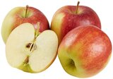 REWE - Rote Tafeläpfel Angebot im Prospekt Rote Tafeläpfel bei REWE im Prospekt "" für 2,22 €