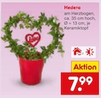 Hedera Angebote bei Netto Marken-Discount Kirchheim für 7,99 €