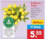 Aktuelles Großbund Tulpen Angebot bei Netto Marken-Discount in Frankfurt (Main) ab 5,55 €