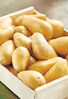 Promo Pomme de terre de consommation Intermarché Terroirs à 1,49 € dans le catalogue Intermarché à Villette-de-Vienne