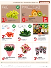 Promos Bricolage dans le catalogue "LES HALLES d'automne" de Auchan Hypermarché Bricolage en promo dans le catalogue Auchan Hypermarché à la page 3