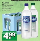 Mineralwasser im Angebot bei Getränke Paradies in Hamm Mineralwasser Angebote von SALVUS bei Getränke Paradies Hamm für 4,99 €