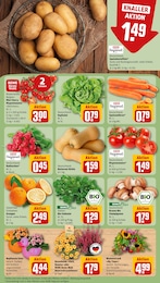 Heide Angebot & Preis im aktuellen REWE Prospekt Heide Angebot im aktuellen REWE Prospekt auf Seite 5