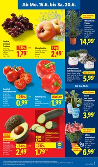 Obst im Lidl Prospekt "LIDL LOHNT SICH" mit 74 Seiten (Berlin)