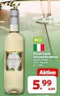 Costa Toscana Bio Weine im Angebot bei nah&frisch in Aurich Costa Toscana Bio Weine Angebote von Piccini bei nah&frisch Aurich für 5,99 €