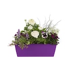 Promo Jardinière de Printemps. La jardinière de 40 cm à 15,99 € dans le catalogue Botanic à Semécourt