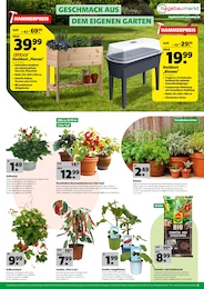 Hochbeet im Hagebaumarkt Prospekt DEIN START IN DIE GARTENSAISON auf S. 5