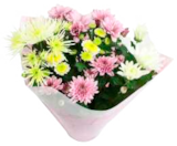 EDEKA - Chrysanthemen oder Sonnenblumen Angebot im Prospekt Chrysanthemen oder Sonnenblumen bei EDEKA im Prospekt "" für 4,99 €