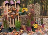 Zink-Topf Angebote bei Garten-Center Nordharz GmbH & Co. KG Hannover für 2,99 €