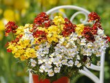 Angebot im Hagebaumarkt Mönchengladbach Prospekt Hagebaumarkt Mönchengladbach Prospekt mit im Angebot für 3,49 €