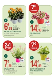 Offre Géranium dans le catalogue Botanic du moment à la page 3