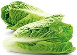 Bio Romana Salatherzen im REWE Prospekt Bio Romana Salatherzen von REWE Bio im aktuellen REWE Prospekt für 1,49 €