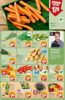 Blumen im REWE Prospekt "Dein Markt" mit 34 Seiten (Augsburg)