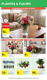 Promos Fleurs d'extérieur dans le catalogue "Carrefour" de Carrefour à la page 57 Promos Fleurs d'extérieur dans le catalogue "Carrefour" de Carrefour à la page 57